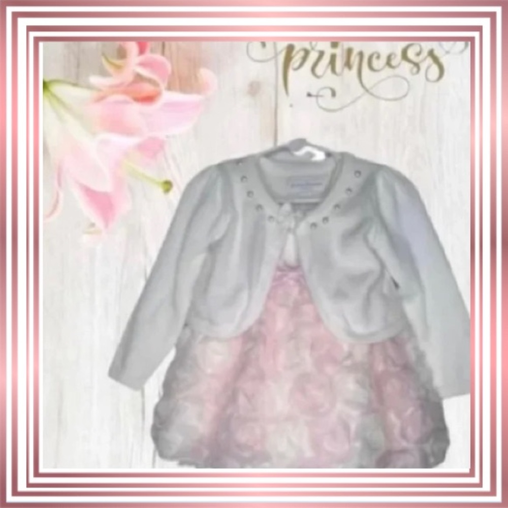 EUC! “American Princess” Girls Satin Sleeve Dress & Sweater